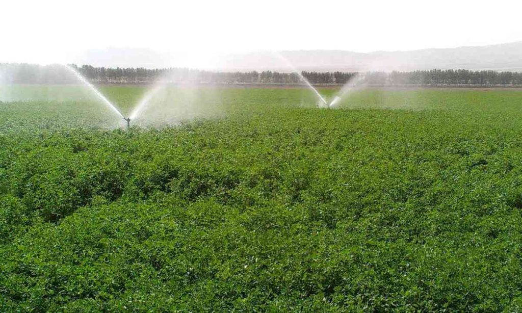 رفع شوری آب کشاورزی